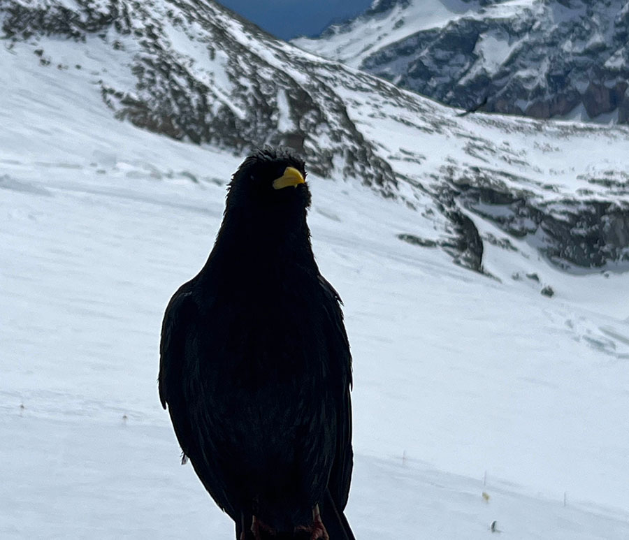 zermatt